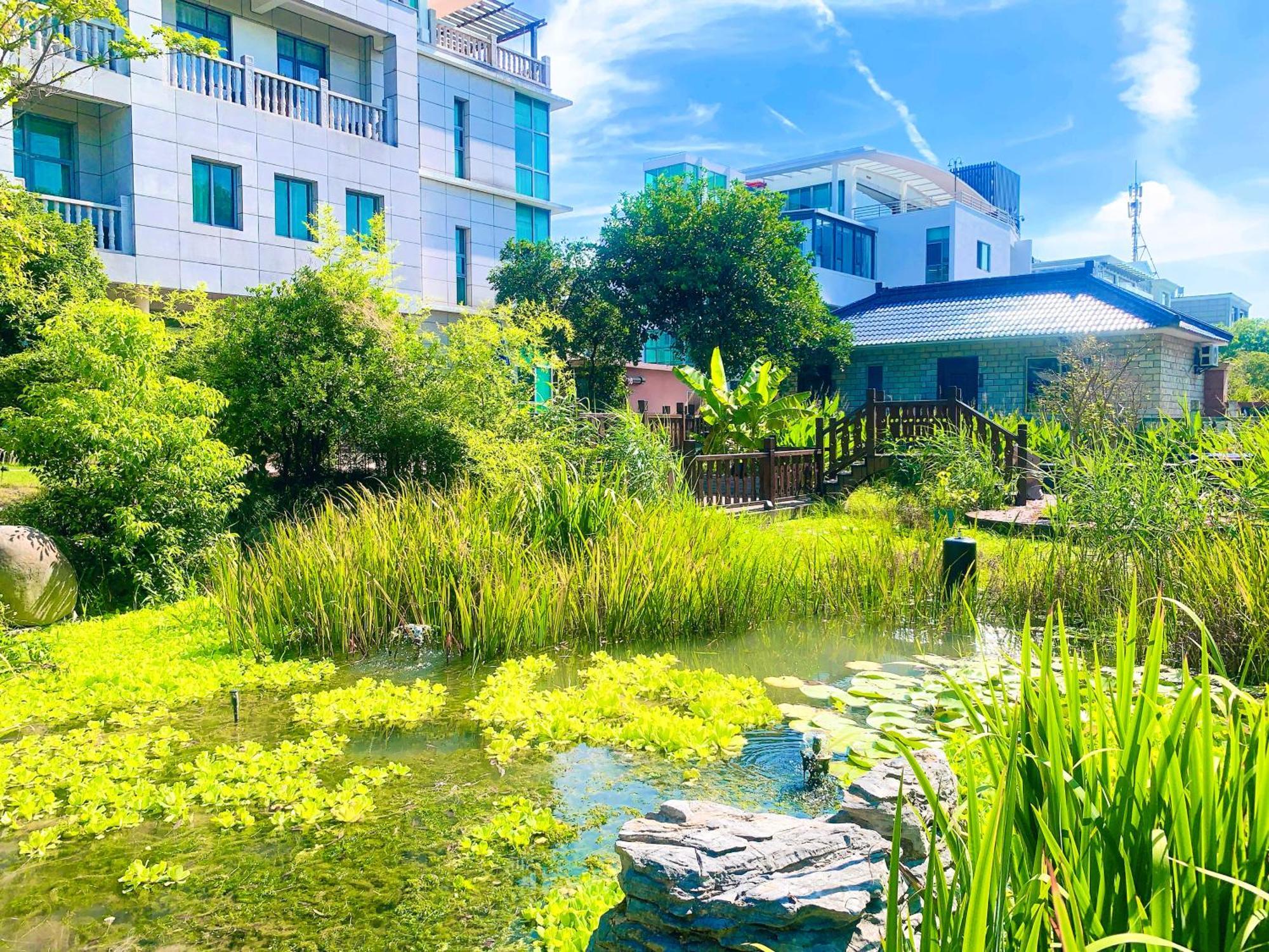 Shushe Hotel Shanghai Bagian luar foto